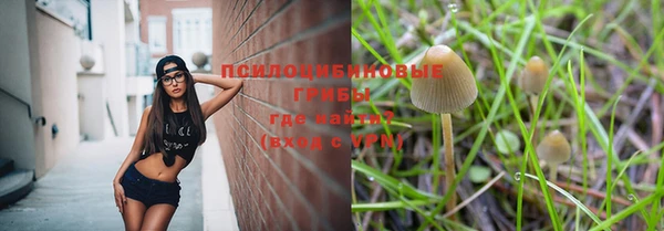 ПСИЛОЦИБИНОВЫЕ ГРИБЫ Новокубанск