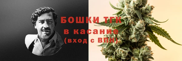 ПСИЛОЦИБИНОВЫЕ ГРИБЫ Новокубанск